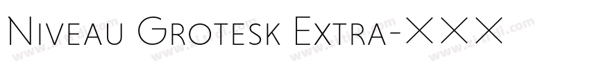 Niveau Grotesk Extra字体转换 Niveau Grotesk Extra字体转换
